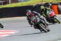 brands-hatch-photographs;brands-no-limits-trackday;cadwell-trackday-photographs;enduro-digital-images;event-digital-images;eventdigitalimages;no-limits-trackdays;peter-wileman-photography;racing-digital-images;trackday-digital-images;trackday-photos